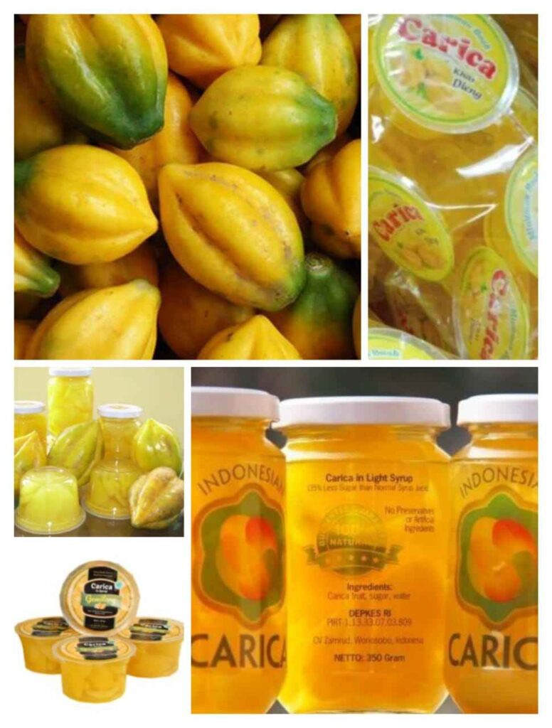 membuat olahan carica